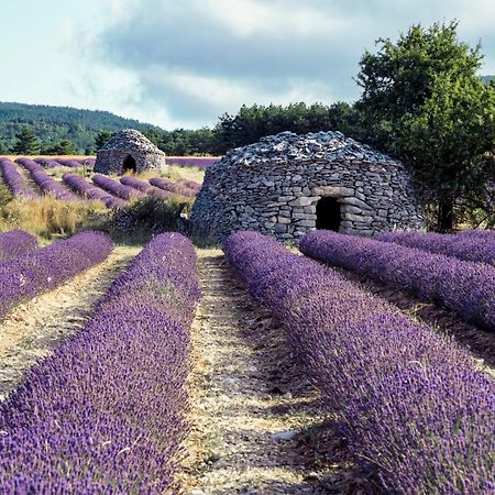Le Cabanon Des Lavandes Entre Mont Ventoux Et Luberon Со-де-Воклюз Экстерьер фото